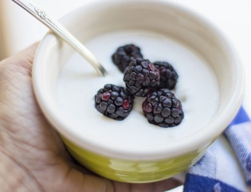 Gesunden Joghurt aus Rohmilch selber machen – ohne Erhitzen!